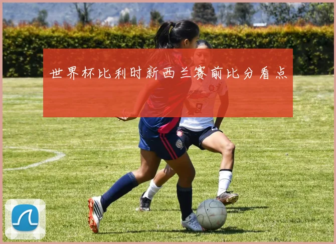 世界杯比利时新西兰赛前比分看点