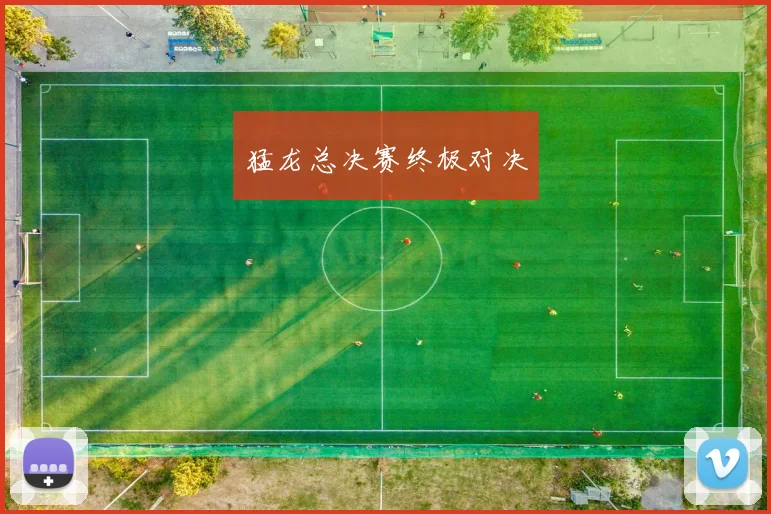 猛龙总决赛终极对决