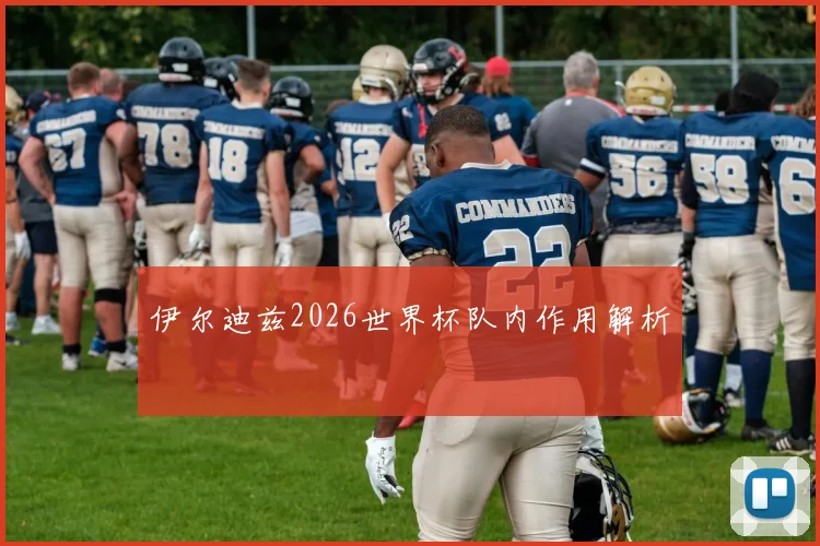 伊尔迪兹2026世界杯队内作用解析