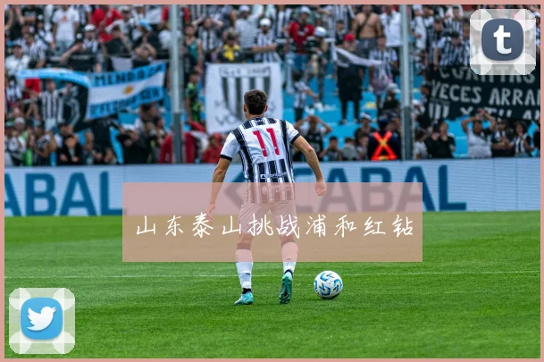 山东泰山挑战浦和红钻