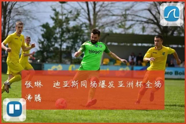 张琳芃迪亚斯同场爆发亚洲杯全场沸腾